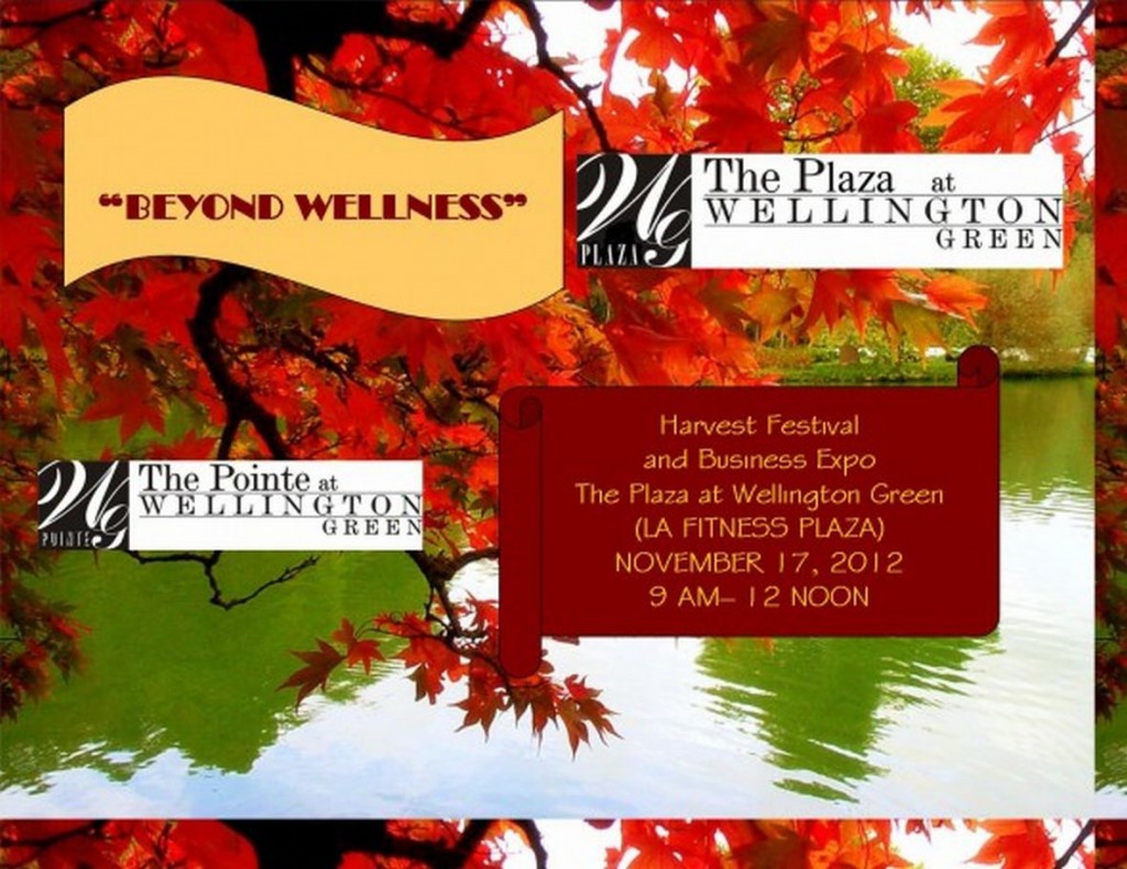 beyondwellness2