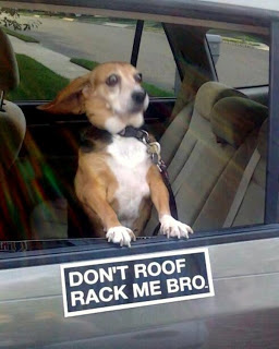 dont-roof-rack-me-bro1