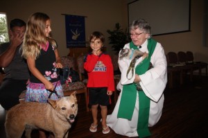 PAWS for a Blessing