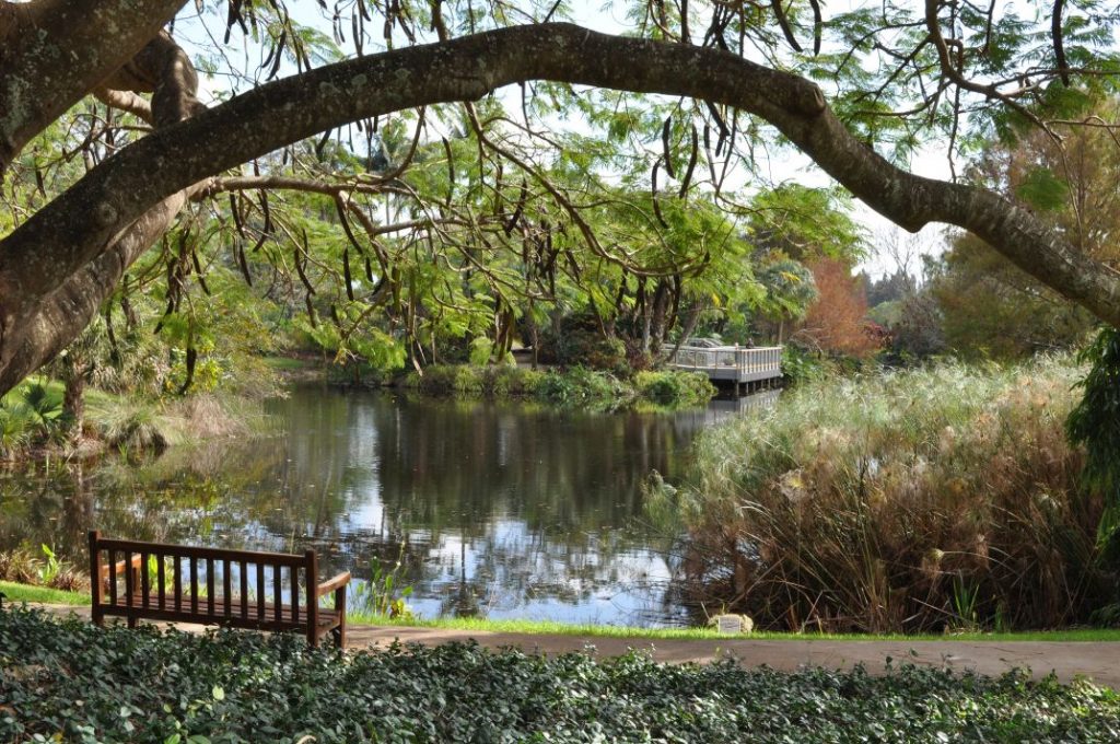 mounts-bench-lake