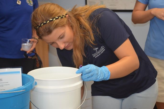 water-quality